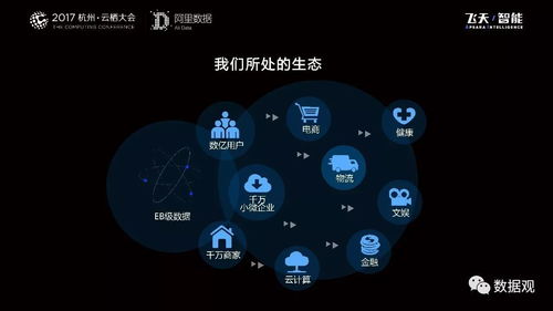 阿里數據服務產品開發與大數據體系演進 從平臺構建到智能服務